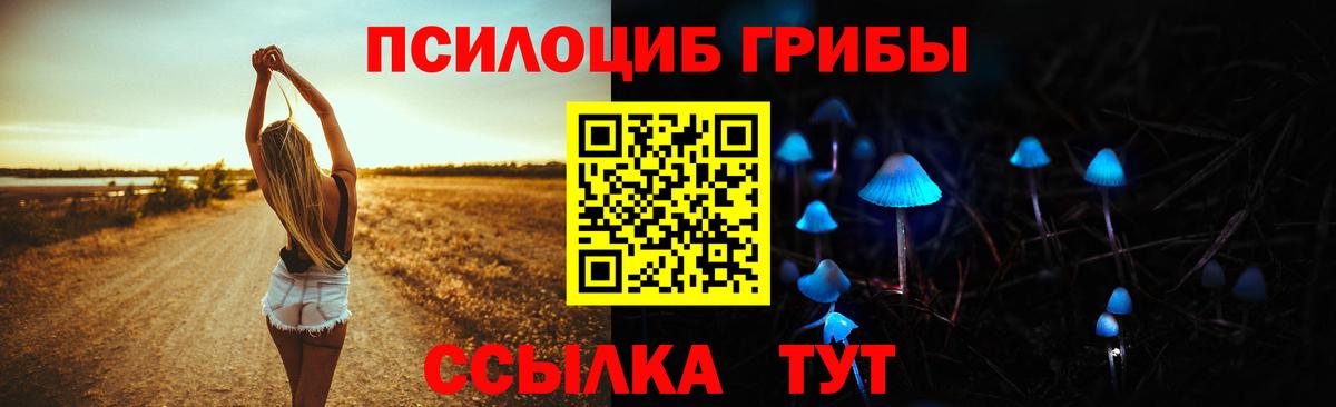 Юрга  Псилоцибиновые грибы MAGIC MUSHROOMS  Вход с VPN 